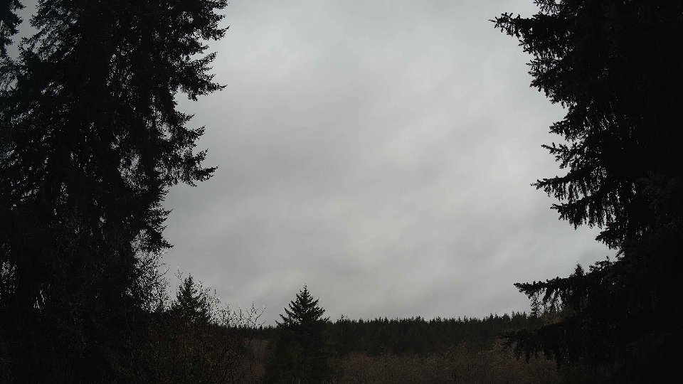 Pacific Northwest skyline timelapse on Feb 02, 2026 at 3:30 PM