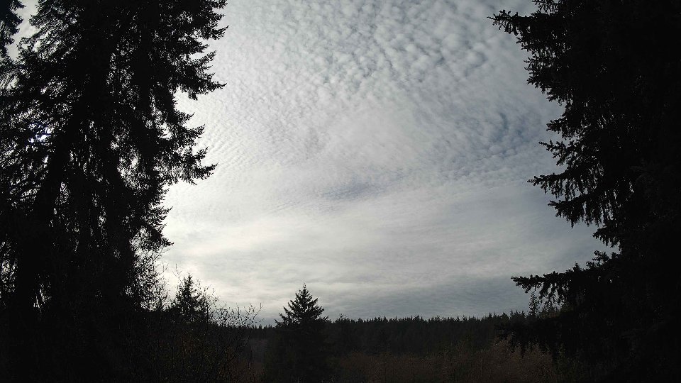 Pacific Northwest skyline timelapse on Feb 03, 2026 at 8:15 AM