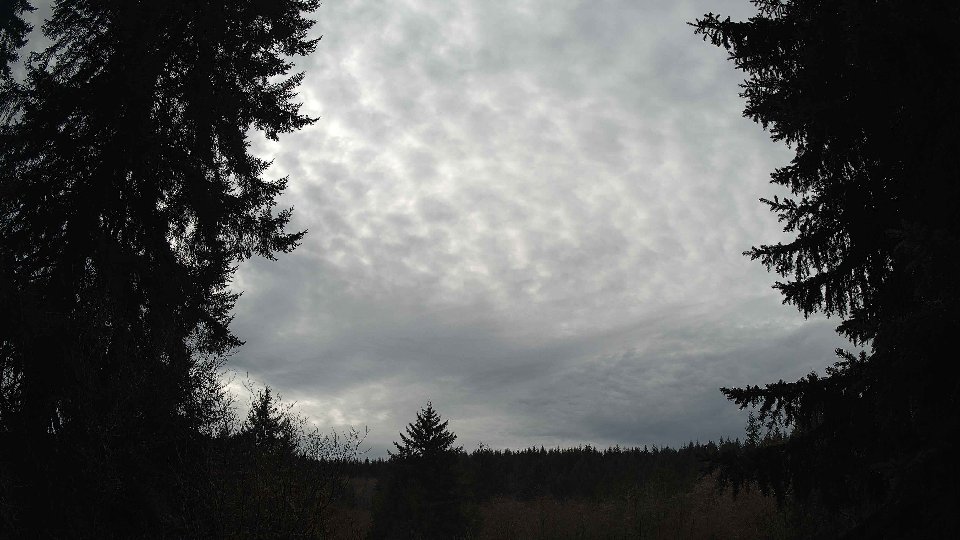 Pacific Northwest skyline timelapse on Feb 03, 2026 at 9:00 AM
