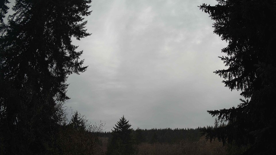 Pacific Northwest skyline timelapse on Feb 03, 2026 at 10:00 AM