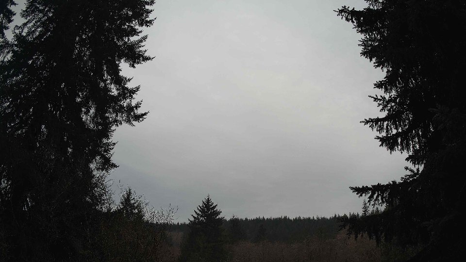 Pacific Northwest skyline timelapse on Feb 03, 2026 at 10:15 AM
