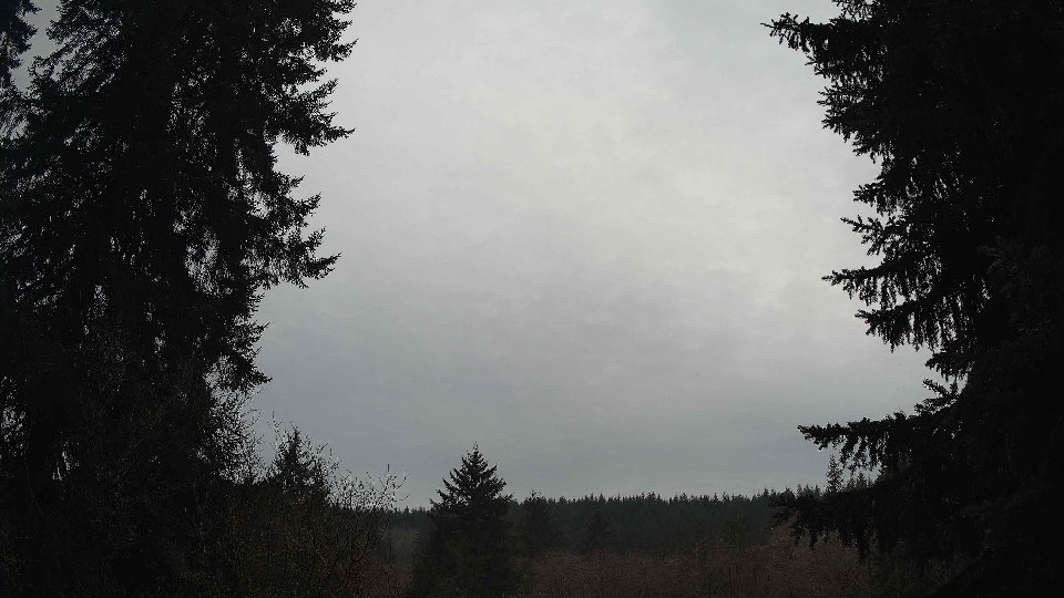 Pacific Northwest skyline timelapse on Feb 03, 2026 at 10:30 AM