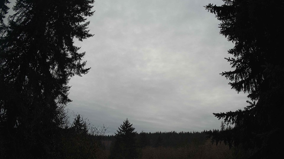 Pacific Northwest skyline timelapse on Feb 03, 2026 at 11:15 AM