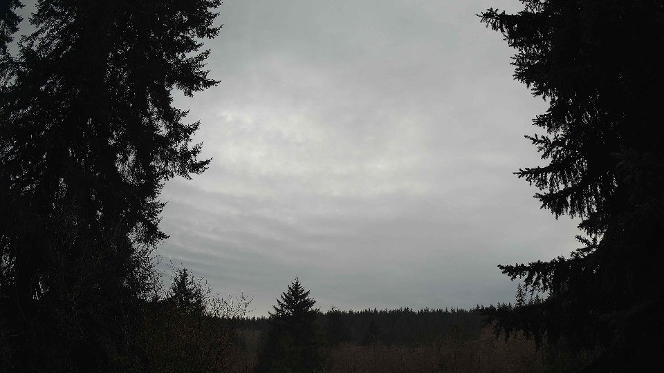 Pacific Northwest skyline timelapse on Feb 03, 2026 at 11:30 AM