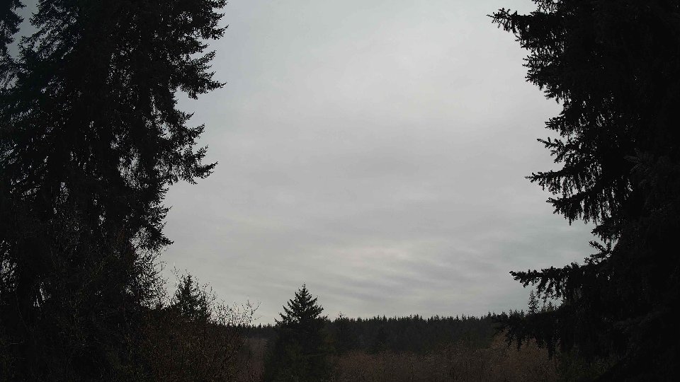 Pacific Northwest skyline timelapse on Feb 03, 2026 at 11:45 AM