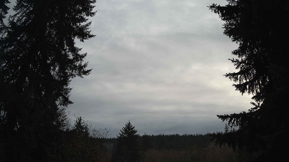 Pacific Northwest skyline timelapse on Feb 03, 2026 at 12:30 PM