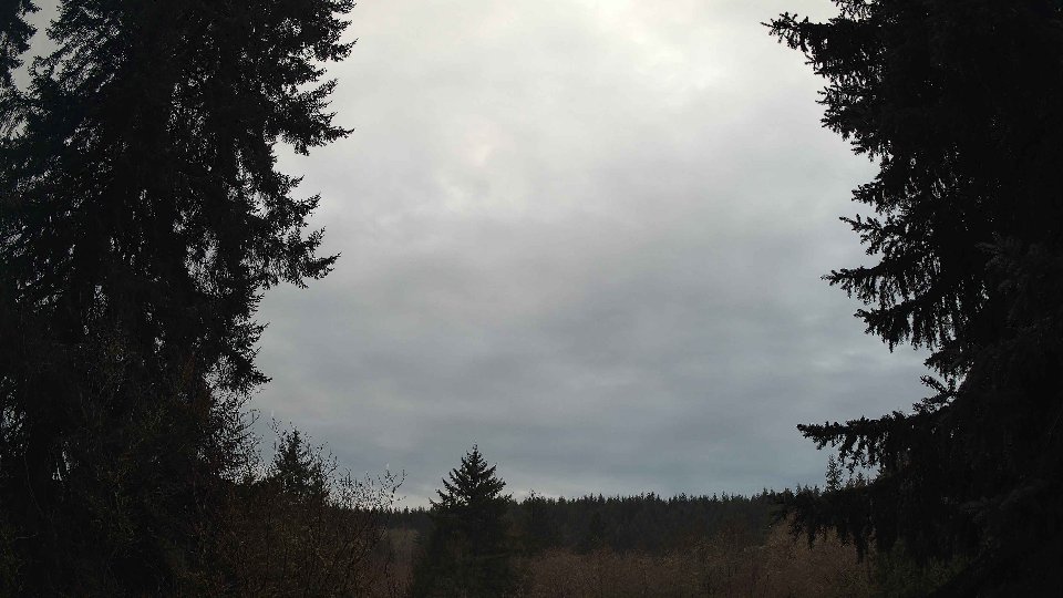 Pacific Northwest skyline timelapse on Feb 03, 2026 at 12:45 PM