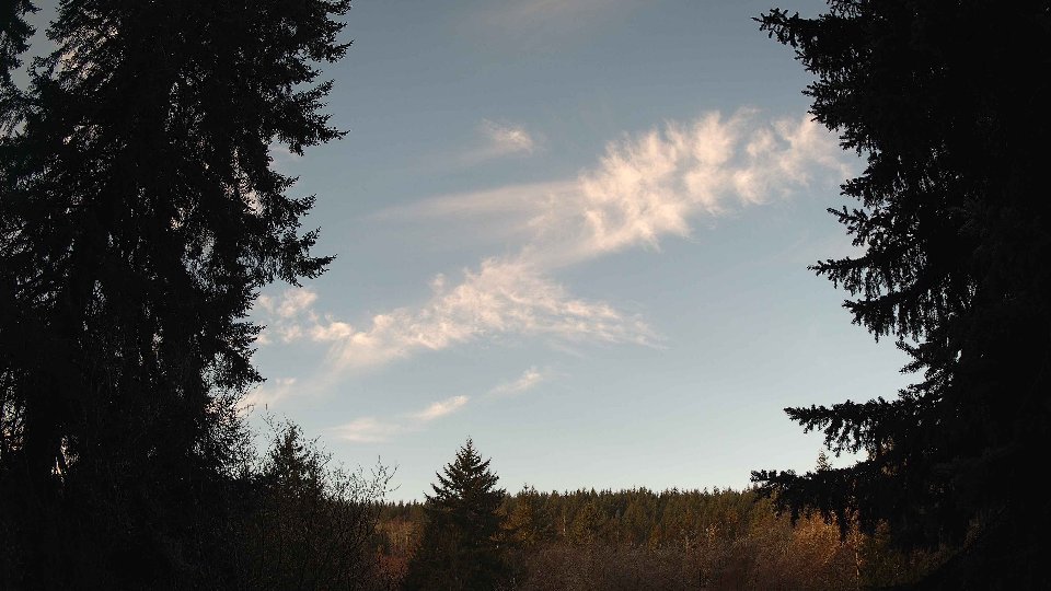 Pacific Northwest skyline timelapse on Feb 05, 2026 at 8:00 AM