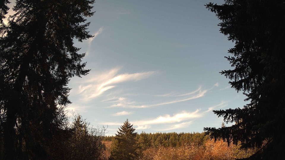 Pacific Northwest skyline timelapse on Feb 05, 2026 at 9:15 AM
