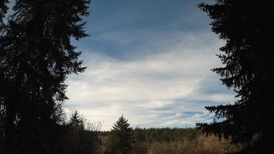 Pacific Northwest skyline timelapse on Feb 05, 2026 at 10:00 AM