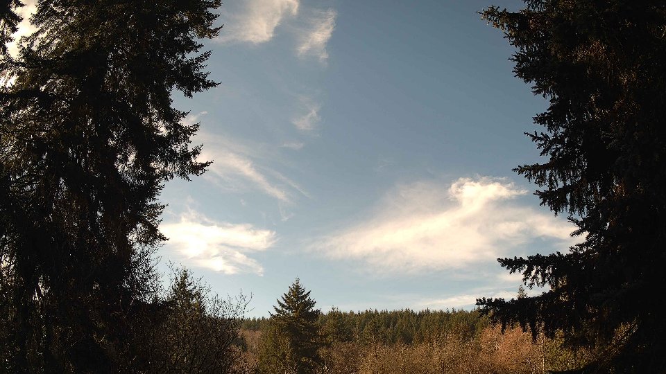 Pacific Northwest skyline timelapse on Feb 05, 2026 at 10:45 AM