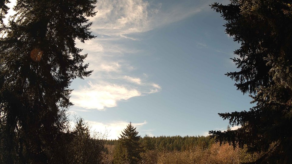 Pacific Northwest skyline timelapse on Feb 05, 2026 at 11:00 AM