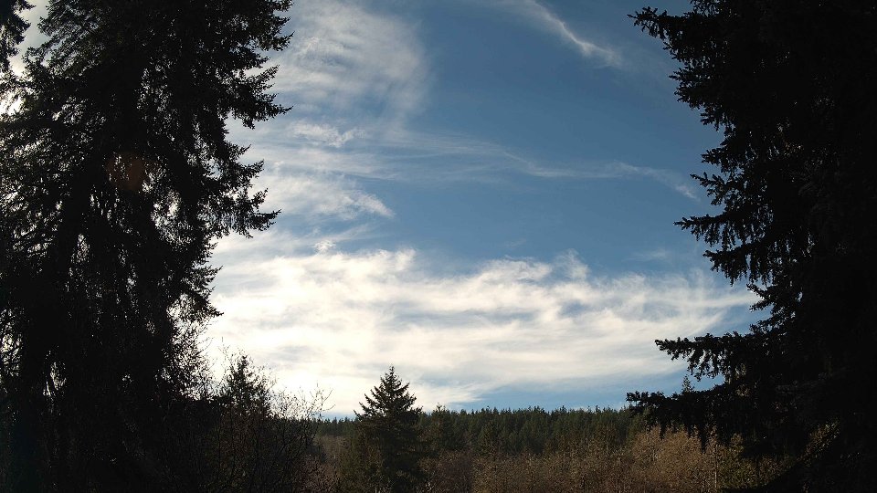 Pacific Northwest skyline timelapse on Feb 05, 2026 at 11:15 AM
