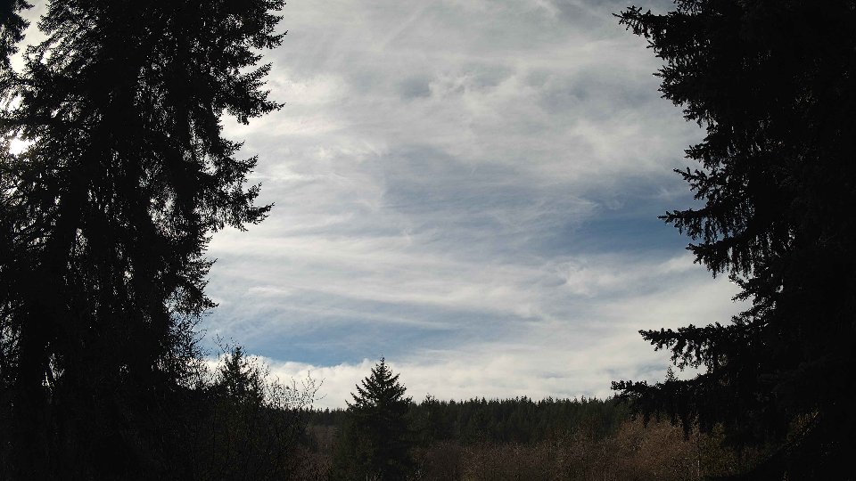 Pacific Northwest skyline timelapse on Feb 05, 2026 at 11:45 AM