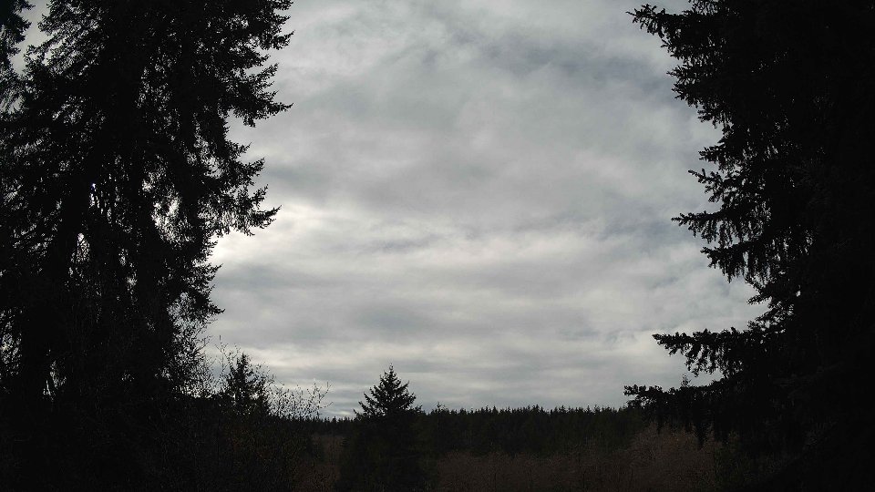 Pacific Northwest skyline timelapse on Feb 05, 2026 at 12:30 PM
