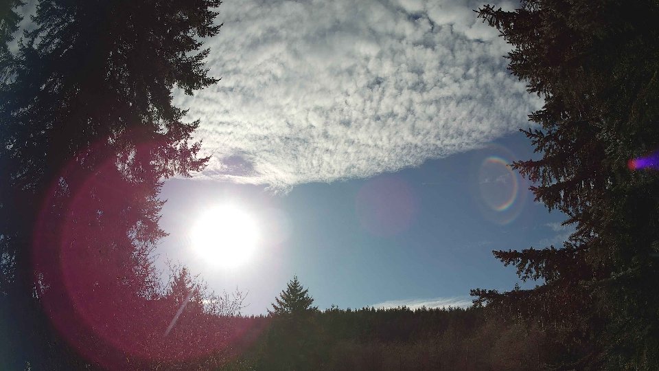Pacific Northwest skyline timelapse on Feb 05, 2026 at 2:15 PM