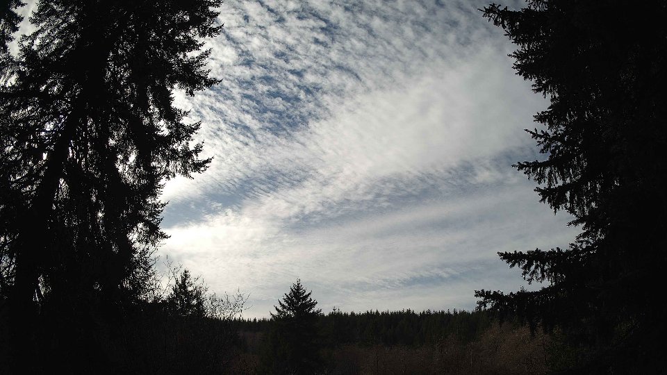 Pacific Northwest skyline timelapse on Feb 06, 2026 at 12:45 PM