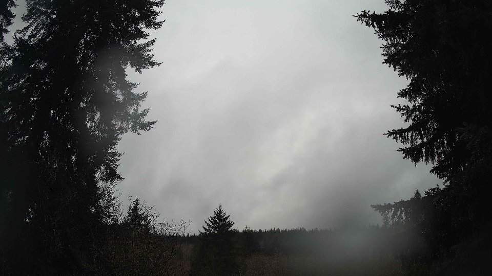 Pacific Northwest skyline timelapse on Feb 07, 2026 at 11:00 AM
