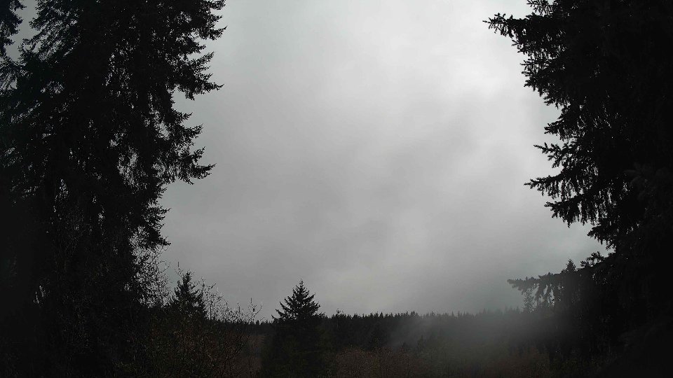 Pacific Northwest skyline timelapse on Feb 07, 2026 at 11:30 AM