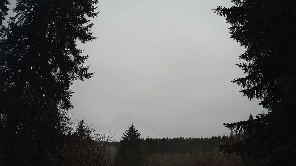 Pacific Northwest skyline timelapse on Feb 08, 2026 at 8:00 AM