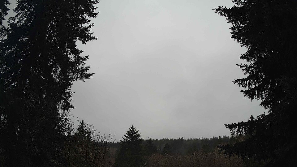 Pacific Northwest skyline timelapse on Feb 08, 2026 at 9:30 AM