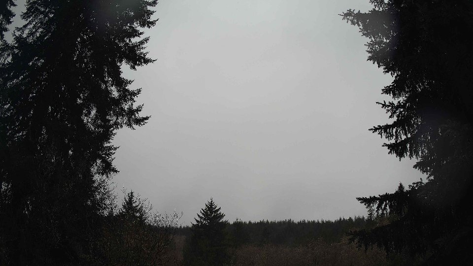 Pacific Northwest skyline timelapse on Feb 08, 2026 at 10:00 AM