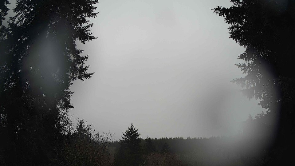 Pacific Northwest skyline timelapse on Feb 08, 2026 at 10:30 AM
