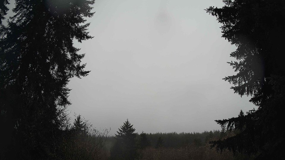 Pacific Northwest skyline timelapse on Feb 08, 2026 at 10:45 AM