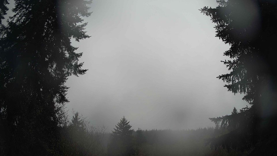 Pacific Northwest skyline timelapse on Feb 08, 2026 at 11:00 AM