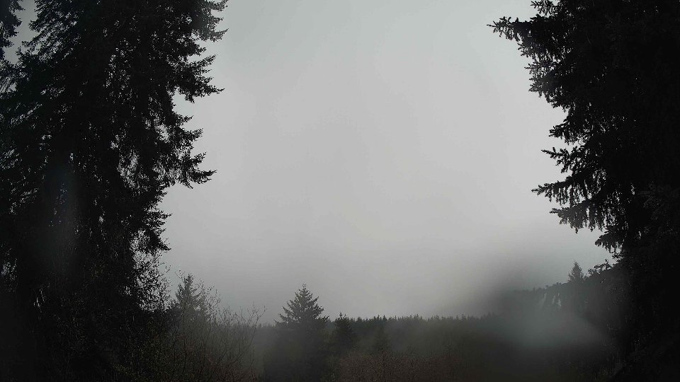Pacific Northwest skyline timelapse on Feb 08, 2026 at 11:15 AM