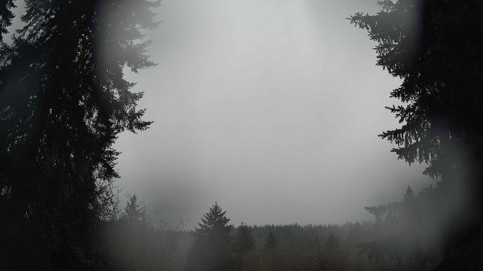 Pacific Northwest skyline timelapse on Feb 08, 2026 at 11:30 AM