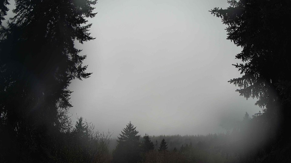 Pacific Northwest skyline timelapse on Feb 08, 2026 at 11:45 AM