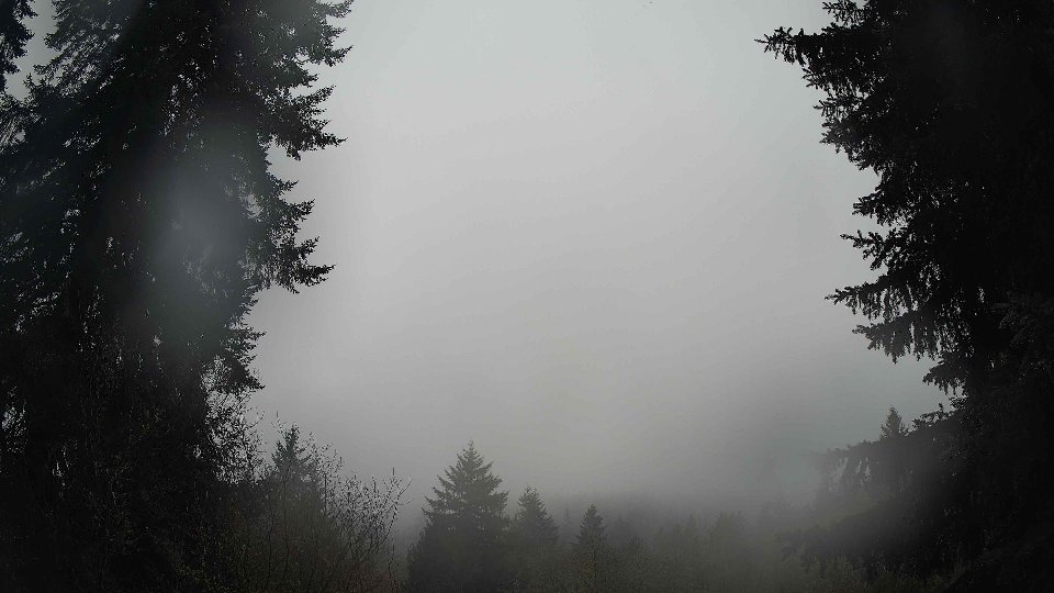 Pacific Northwest skyline timelapse on Feb 08, 2026 at 12:15 PM