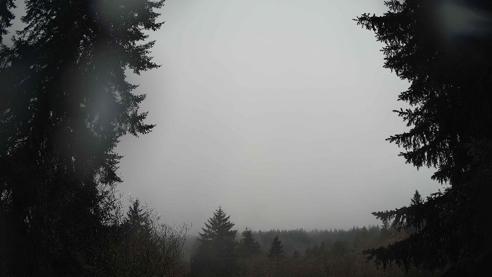 Pacific Northwest skyline timelapse on Feb 08, 2026 at 12:30 PM