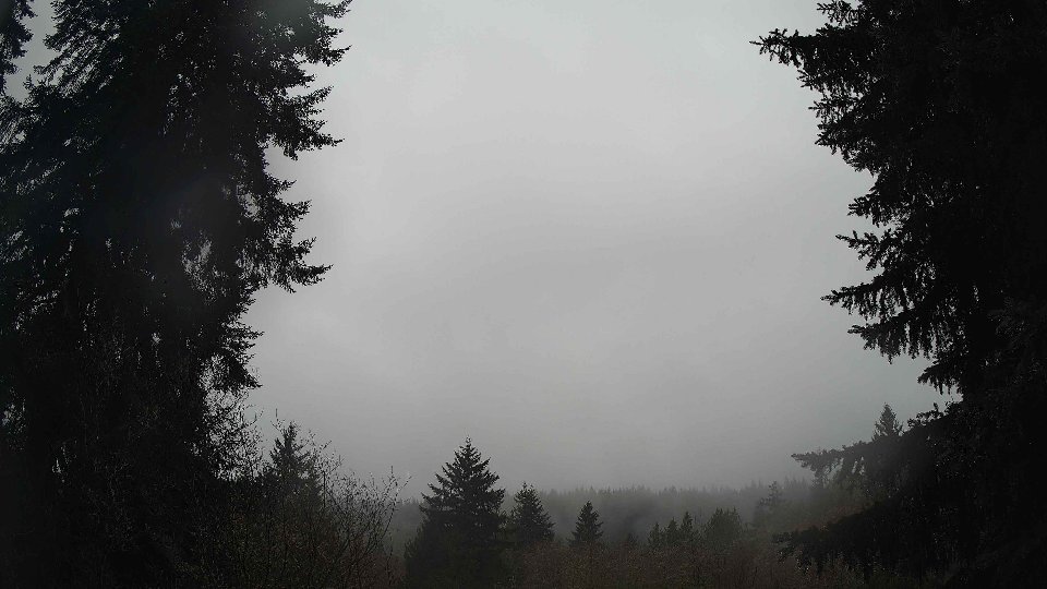 Pacific Northwest skyline timelapse on Feb 08, 2026 at 1:15 PM