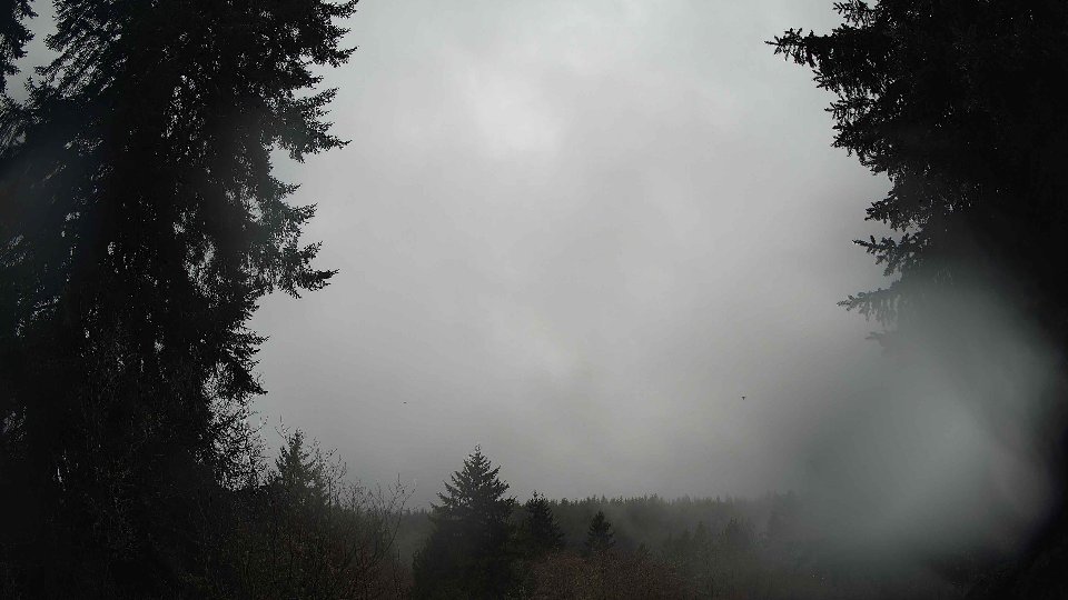 Pacific Northwest skyline timelapse on Feb 08, 2026 at 2:30 PM