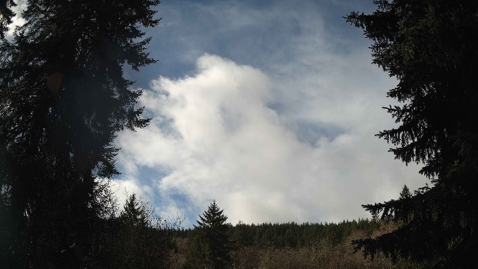 Pacific Northwest skyline timelapse on Feb 09, 2026 at 11:15 AM