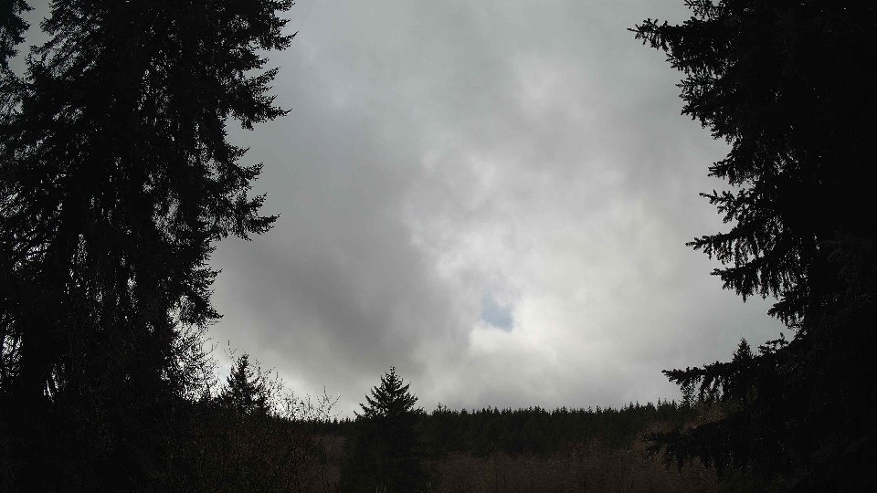Pacific Northwest skyline timelapse on Feb 09, 2026 at 11:45 AM