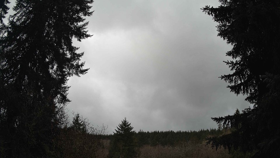 Pacific Northwest skyline timelapse on Feb 09, 2026 at 12:15 PM
