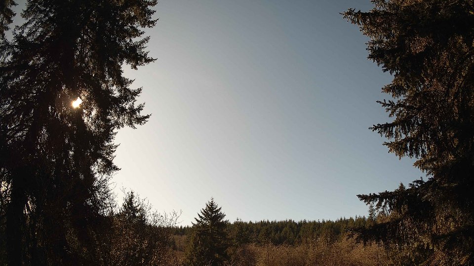 Pacific Northwest skyline timelapse on Feb 10, 2026 at 1:15 PM