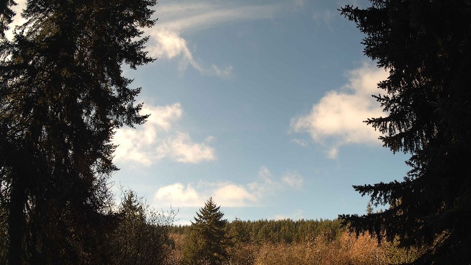 Pacific Northwest skyline timelapse on Feb 11, 2026 at 10:30 AM