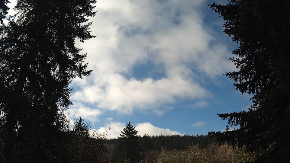 Pacific Northwest skyline timelapse on Feb 11, 2026 at 11:00 AM