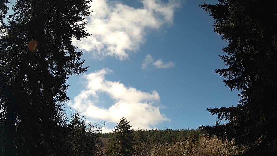 Pacific Northwest skyline timelapse on Feb 11, 2026 at 11:15 AM