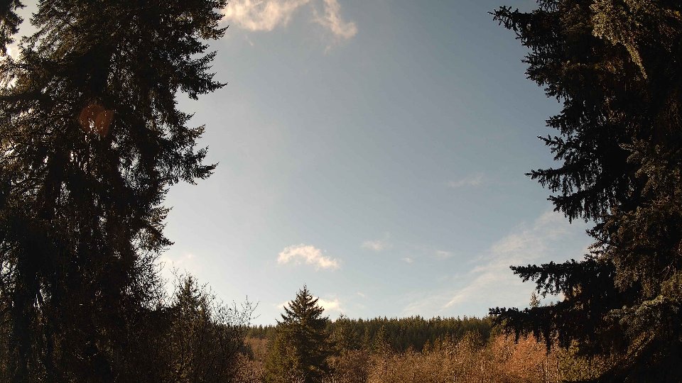 Pacific Northwest skyline timelapse on Feb 11, 2026 at 11:30 AM