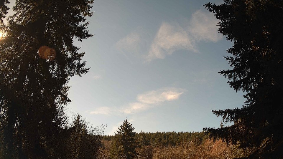 Pacific Northwest skyline timelapse on Feb 11, 2026 at 11:45 AM