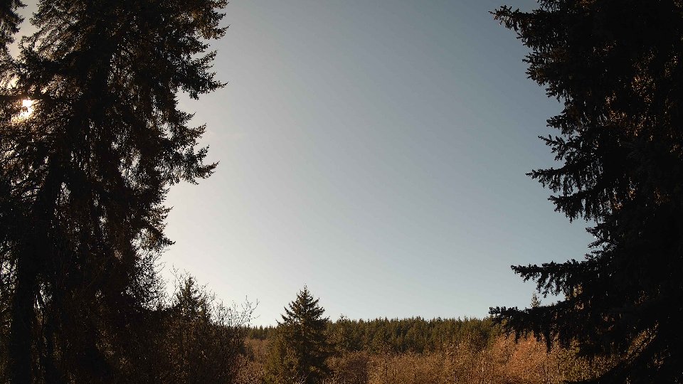 Pacific Northwest skyline timelapse on Feb 11, 2026 at 12:15 PM
