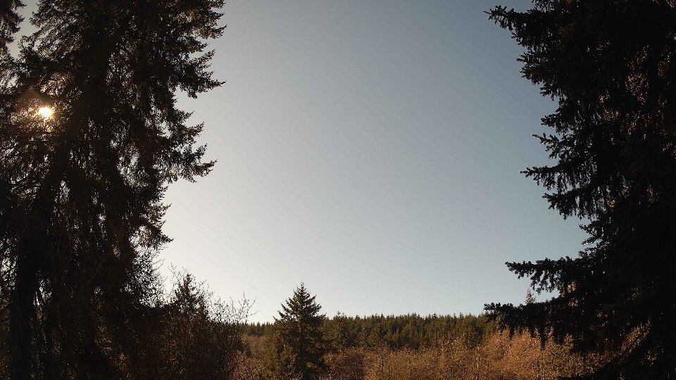 Pacific Northwest skyline timelapse on Feb 11, 2026 at 12:30 PM