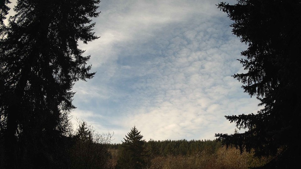 Pacific Northwest skyline timelapse on Feb 12, 2026 at 9:45 AM