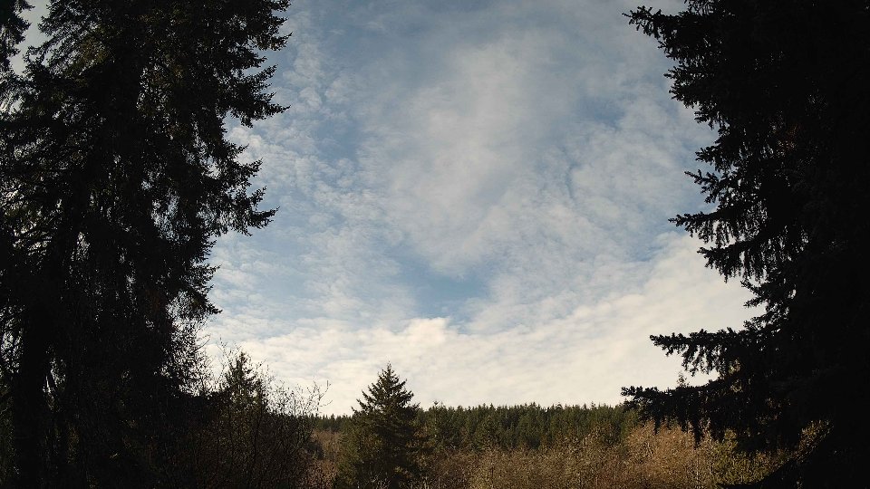 Pacific Northwest skyline timelapse on Feb 12, 2026 at 10:15 AM