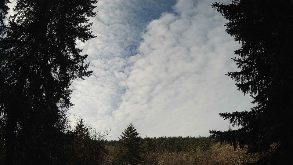 Pacific Northwest skyline timelapse on Feb 12, 2026 at 10:30 AM